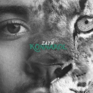 Zayn: nuova era, nuova musica – tra introspezione e rinascita artistica